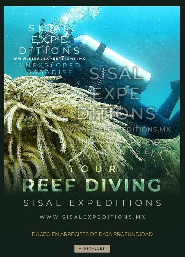 Buceo en Arrecifes