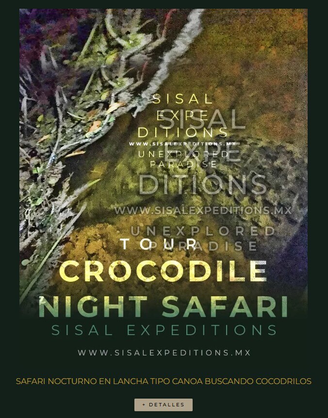 Safari Nocturno · Cocodrilos