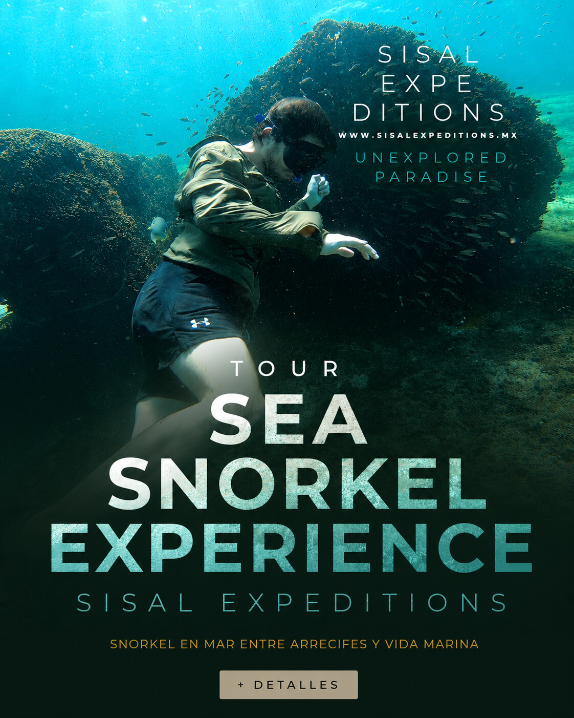 Snorkel Arrecife Bajo de 10