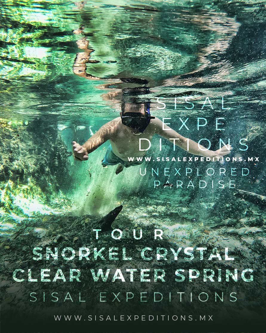 Manantial Ojo de Agua — Snorkel en Sisal Expeditions