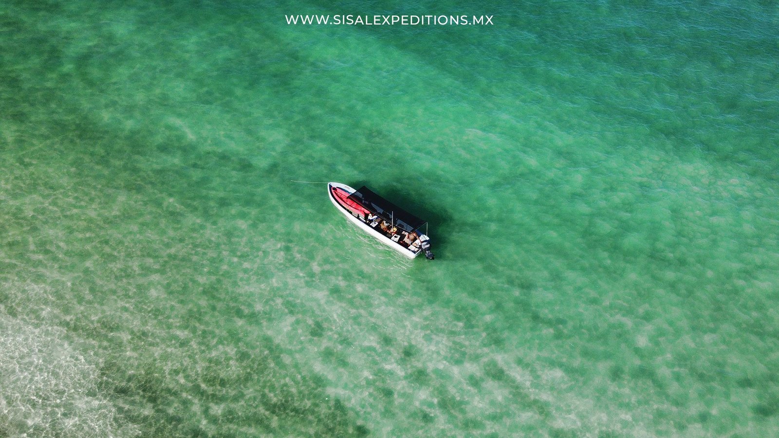 Snorkel en Barco Hundido Colonial