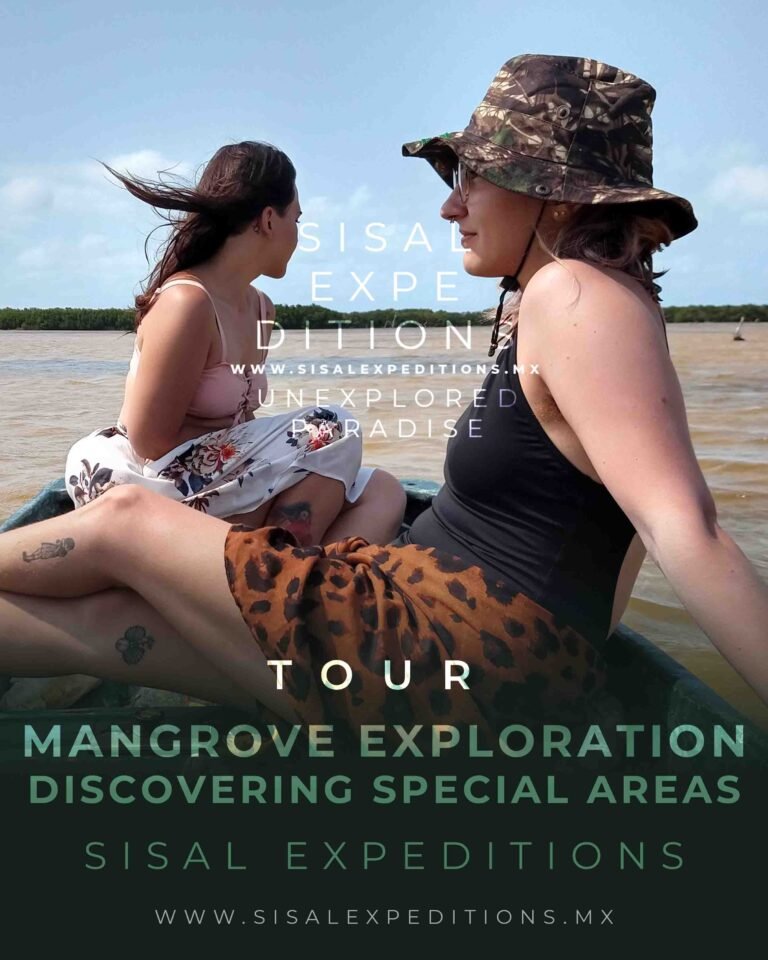 Tour manglar maya en canoa Sisal Yucatán — humedales del mundo maya